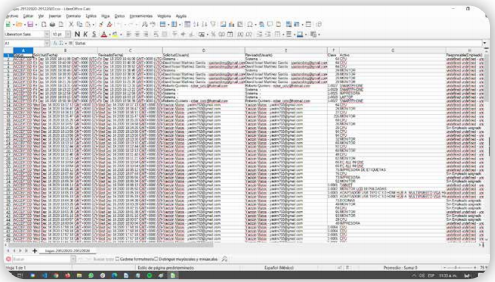 Reporte en excel generado a través del SAAF