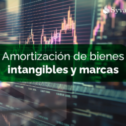 amortizacion-de-bienes-intangibles-y-marcas